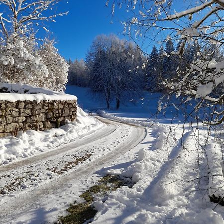 Ch'Tit Jura Bed & Breakfast Les Moussieres Luaran gambar
